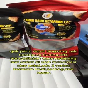OLAHAN DAUN KETAPANG LAUT HASIL PROSES FERMENTASI SIAP PAKAI KEBUTUHAN IKAN DAN AKUARIUM