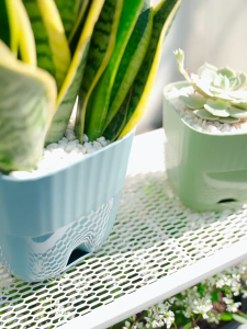 กระถางปลูกผักรดน้ำอัตโนมัติ กระถางดอกไม้ระเบียงพลาสติก กล่องปลูกผักทรงสี่เหลี่ยม กล่องปลูกดอกไม้ขนาดใหญ่