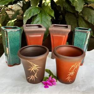 6 chậu trồng cây dáng đổ cây mini trồng sen đá