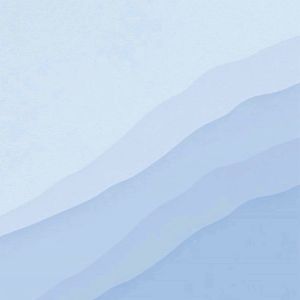 A4 Transparent File Folder Document Organizer Clear Book Stationery for Home & Office