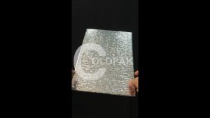 COLDPAK Thermal Packaging Makanan Frozen Tahan Dingin Pengiriman