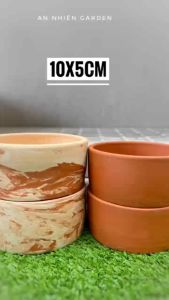 Chậu Đất Nung Hình Trụ Kích thước 10x5cm 2 màu - Trồng Sen Đá - Xương Rồng- LỖI 1 ĐỔI 1