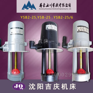 Pump Điện YSB2-25 Máy Tiện Coi Lạnh Máy Điện Động 3 Pha Máy Bơm Nước Bằng Sắt Nguyên Khối Sản Xuất Tại Tỉnh Liaoning Trung Quốc