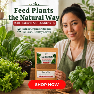 Feather Meal - All Natural Soil Additive Derived from Poultry Feathers For Home Gardening Use