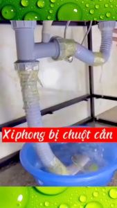 Bộ Xi Phông chậu rửa chén bát Inox 304 HODA BOSS 2 hố chống mùi cao cấp 110mm  Xi phông chậu 2 hố chống tắc bền bỉ