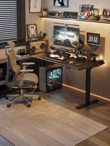 Loctek | Intelligent Lift Electric Gaming Desk