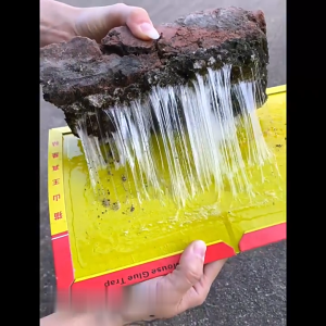 Lem Perangkap Tikus dan Hama Super Lengket / Papan Kertas Perangkap Tikus Mouse Glue Trap CF C1076