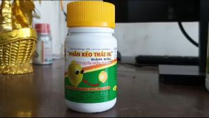 PHÂN KÉO TRÁI HL Đậm đặc Lớn trái cực nhanh chai 100ml dùng 600L đến 800L