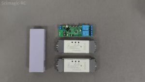 Smart Wifi Switch Ewelink App Two Relay 12V 24V 220V 230V RF433 Receiver Module Dry Contact Inching For Light Motor Alexa Work