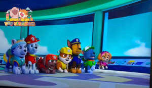 Đồ Chơi Chó Cứu Hộ Paw Patrol Mô Hình Nhân Vật Hoạt Hình Đáng Yêu Cho Bé ! ChunChinToyKingDom