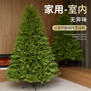 Large Size Pure PE Christmas Tree 2025 New Home Living Room Decorative Pieces Eco-Friendly Christmas Decoration High-End Feeling