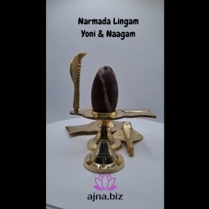 Natural Narmada Lingam With Brass Yoni And Nagam ( Shiva Lingam ) ( Statue ) ( BanaLingam )