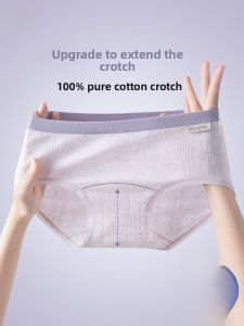 Miiow | Pure Cotton Antibacterial No-Trace Mid-Waist Womens Underwear Cat Person Extended Crotch New 2025 Style Youth Triangle Shorts