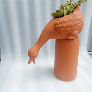 Chậu đất nung chậu sen đá - Vịt xoài dài 30cm rộng 12cm cao 10cm