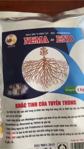 Bộ đôi Phục Hồi Vườn Hư Tổn Do Tuyến Trùng Và Tái tạo rễ mới - Nema End + Phân Chelate Combi - gói 1kg