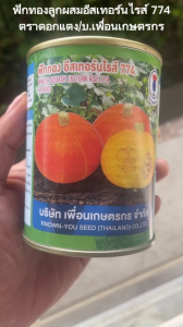 ฟักทองญี่ปุ่นลูกผสม อีสเทอร์นไรซ์ 774 (50 กรัม)/เพื่อนเกษตรกร