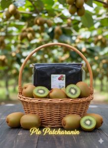 ไส้กีวีกวนพร้อมใช้ปั้นได้