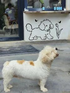 Modern Minimalist Cartoon Dog Flower Glass Door Decorative Stickers Sliding Kitchen Balcony Window Decals Anti-Collision