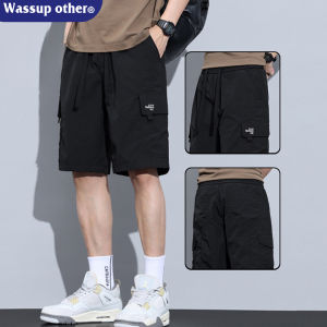 Work Style Mens Summer Thin Icesilk Quick-dry Leisure Shorts