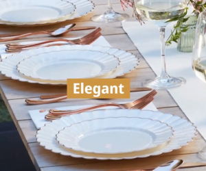 Ivory Scalloped Plastic Plates with Gold Rim IVGR Disposable Thick Elegant Party Plates Food Safe