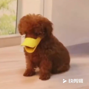 Pet Dog Duckbill Shape Comfortable Soft Anti-bite Silicone Muzzles Busal Mouth Cover