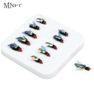 10Pcs Laser Double Winged Fly Fishing Flies Realistic Artificial Bionic Insect Lure for Bass Trout Carp Fly Fishing Bait