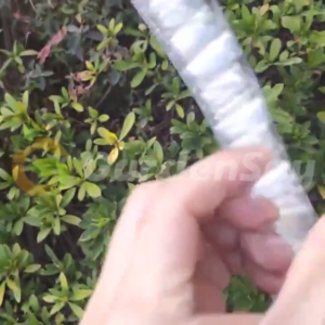 ถาดเพาะกล้านาโยน มี 434 หลุม แพ็ค 100 ชิ้น ถาดเพาะนาโยน กล้านาโยน นาโยน เพาะกล้านาโยน ถาดนาโยน ผสมสารป้องกัน UV ถาดเพาะกล้านาโยน 561 หลุม มีให้เลือก 100PCS