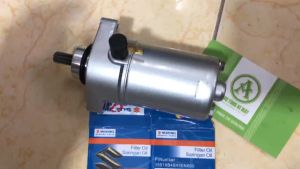 Củ đề Angel  Start VIVA