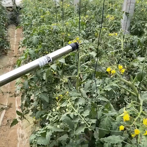 220V Electric Tomato Pollinator for Greenhouse Cucumber and Tomato Crops Cordless Design for Efficient Flower Pollination and Increased Fruit Yield