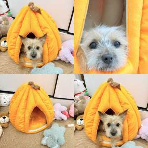 Lovinland Pet Dog Bed Cute Pumpkin Style Cat Cave Bed Cat House Tent with Removable Cushion Soft Fluffy Pet Bed for Kitten Small Dog Cat Rabbit Bunny