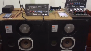 Bluetooth Karaoke Amplifier with Dual Mic Reverb - Multi Voltage (12V/24V/220V) for Car & Home | High Power Bass USB/TF/AUX/FM Radio | Fast Local Delivery