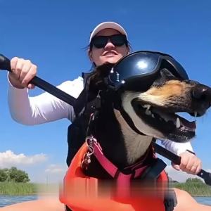 Dog Sunglasses Full Wrap Dust Proof Heavy Duty Strap Vent Design Contour Bridge Adjustable for Outdoor