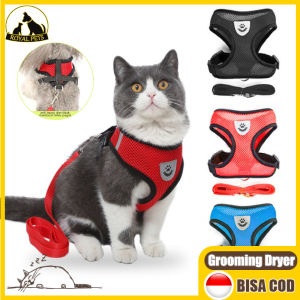 Rompi Kucing & Tali Tuntun: Tips dan Trik