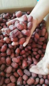 Táo bụi Nhược Khương 500g -táo đỏ Nhược Khương _ Tân Cương nguyên vị không sấy-túi 500g