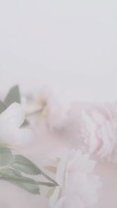 Purbasari Minyak Zaitun Olive Oil Mawar 150ml