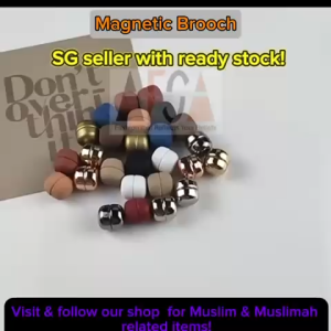 Magnetic brooch for Hijab Snag Magnet with Anti-Slip Grip | - SG Seller