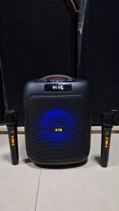 HTM-1742 Portable Bluetooth Professional Karaoke Speaker 8.5 inch 7800w with 2 Wireless Microphone