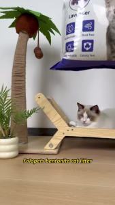 (ของขวัญฟรี)FOLOPETS ทรายแมว เบนโทไนท์ ไม่มีฝุ่น 10L(7.3kg)/7L/6L/5L จับตัวเป็นก้อนทันที ดับกลิ่นดีมาก ป้องกันการเจริญเติบ โตของ แบคทีเรีย