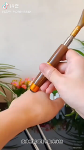 K6821 可伸缩牛角痒痒挠 retractable horns tickle