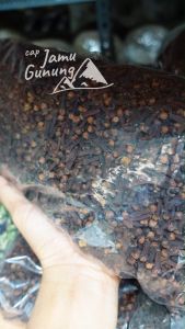 Cengkih Kering atau Cengkeh Kering 100gr Organik - Grade A