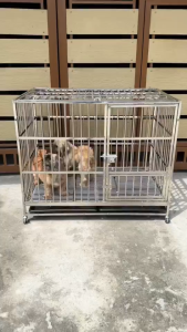 PAPAPET Stainless steel Dog Cage with Tray Wheels Heavy Duty Removable Pan Mobile Indoor Three doors With partition