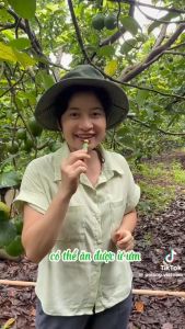 Son Dưỡng Ẩm Môi Pơ Lang Từ Trái Bơ Tươi giúp môi mềm mại hồng hào và căng bóng an toàn lành tính cho cả bà bầu và trẻ nhỏ