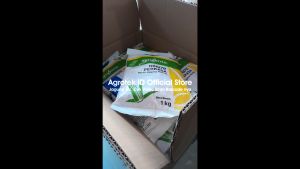 Benih Jagung NK6172 PERKASA 1 Kg