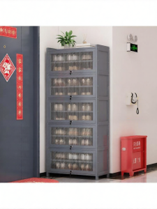 MOLORE | Luxurious Thin Entryway Storage Cabinet