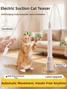 VOA | Automatic Kitty Entertainment Toy