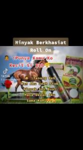 Minyak OLES El-Iryaniy 5ml Roll On BP0M Kualitas Terbaik (COD)