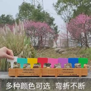 CeeJay ป้ายพลาสติก mini ป้ายชื่อแคคตัส ป้ายชื่อสวน ป้ายไม้ดอกไม้ garden label มีสินค้าพร้อมส่ง