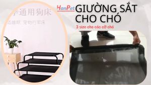 Hanpet - . - Giường chó mèo khung sắt có thể gấp gọn / giường nằm Giường sắt chó chó / giường ngủ có thể dùng cho thú cưng / giường ngủ chó mèo chịu lực / nhà chó / nệm mèo / nhà giường nệm chó mèo