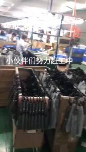 China Shipping [2025] New Product Lizze Hot-Selling Salon Professional Hair Styling Straightener Curling Iron Volumizing Curling Wand 317