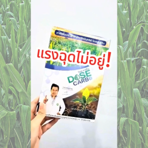 Dose โดสคาร์โบ ช่วยระเบิดผลผลิตได้ทุกช่วงระยะ ขยายผลสร้างเนื้อ เร่งน้ำหนัก เร่งรสชาติ เร่งสี